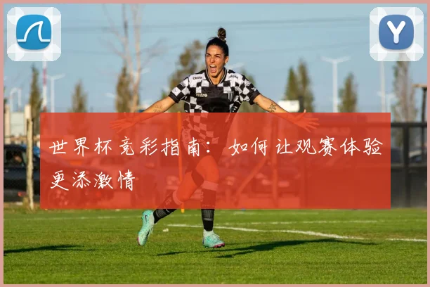世界杯竞彩指南：如何让观赛体验更添激情