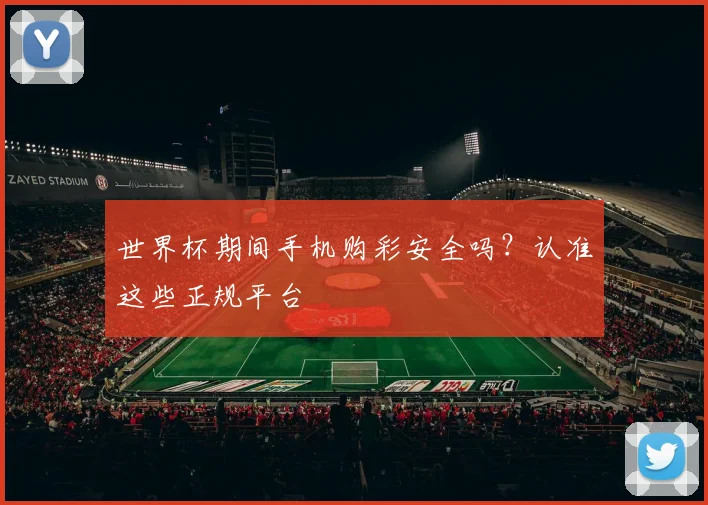世界杯期间手机购彩安全吗?认准这些正规平台