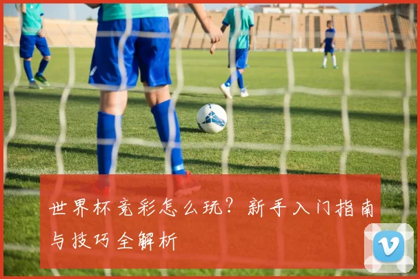 世界杯竞彩怎么玩？新手入门指南与技巧全解析
