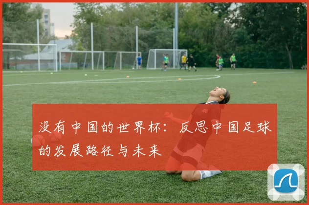 没有中国的世界杯：反思中国足球的发展路径与未来